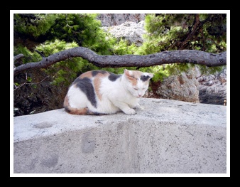 [Click to enlarge image]